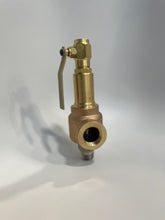 Load image into Gallery viewer, 3/4&quot; Pressure Relief Valve - PV-172_3
